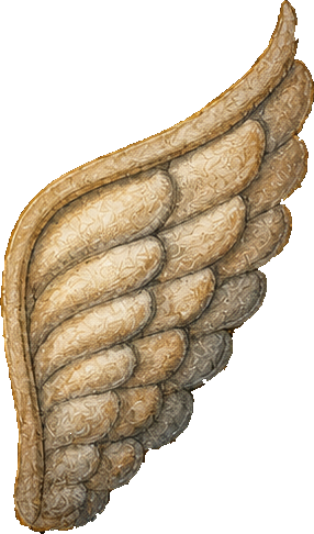 The Wing
